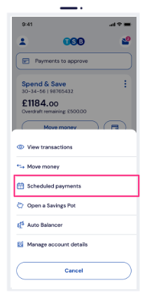 Tap on 'Scheduled payments'. Tap on 'Scheduled payments'.