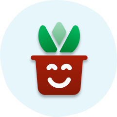 Plant pot
